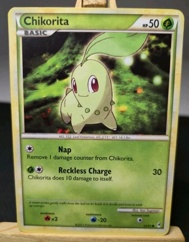 Chikorita ruf der - 53/95,