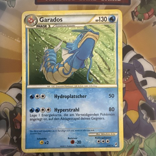 Pokemon garados ruf der - -,