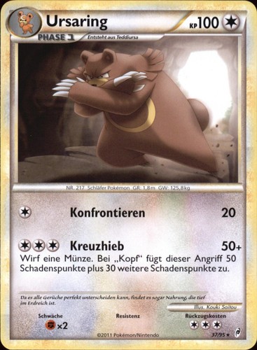 Ursaring ruf der - |, 37